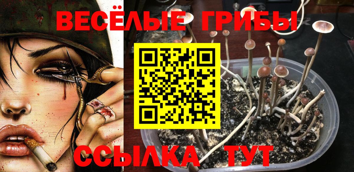 Галлюциногенные грибы GOLDEN TEACHER Салехард